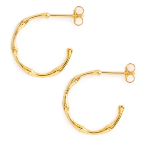 Gold Bamboo Hoops