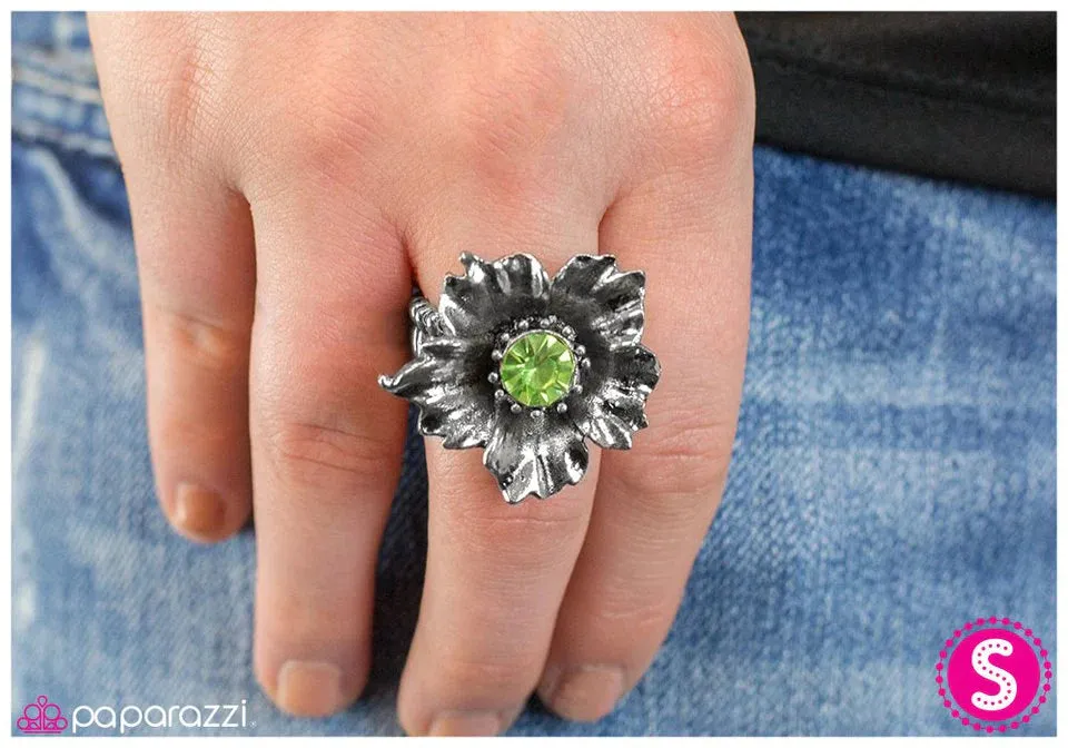 Paparazzi Ring ~ Little Havana - Green